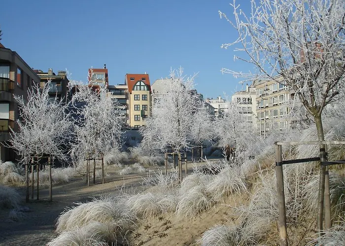 Figaro 3* Knokke-Heist